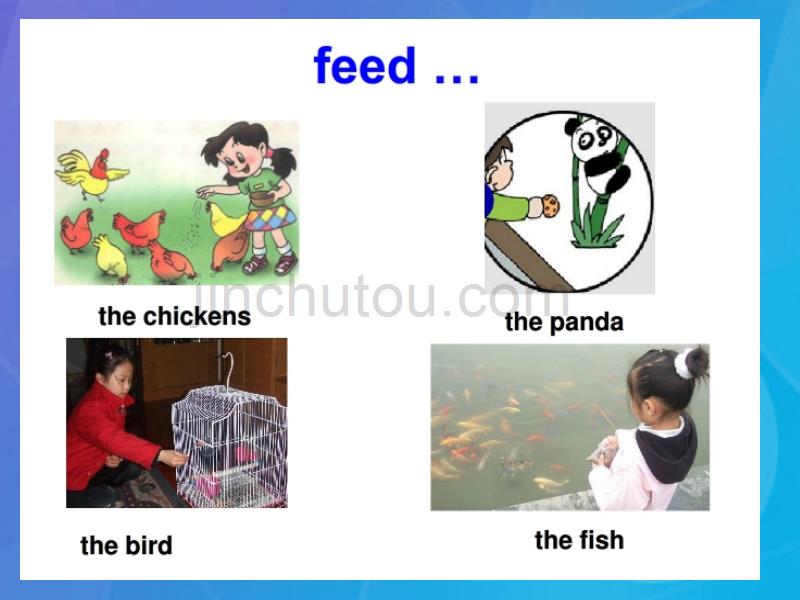 2016春四年级英语下册 module 1 unit 2《don’t feed the fish》课件1 外研版（一起）_第5页