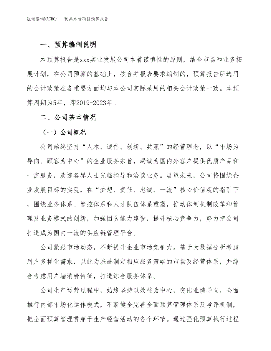 玩具水枪项目预算报告年度.docx_第2页