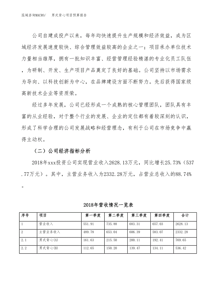 男式背心项目预算报告年度.docx_第3页