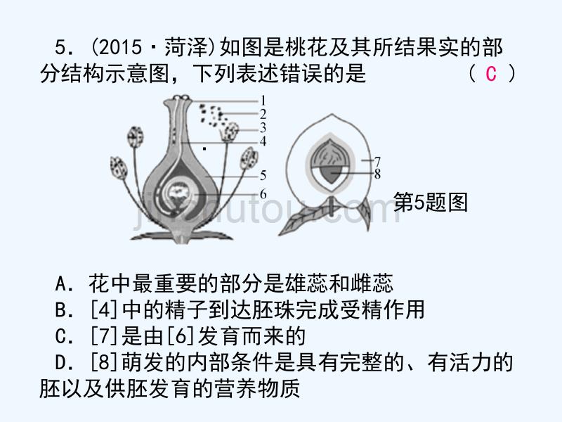 浙江省2016年中考科学第一轮专题练习《生物的生殖和发育》课件_第4页