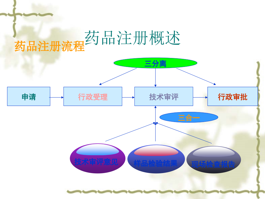 化学药品注册流程和技术要求-青岛详解_第4页