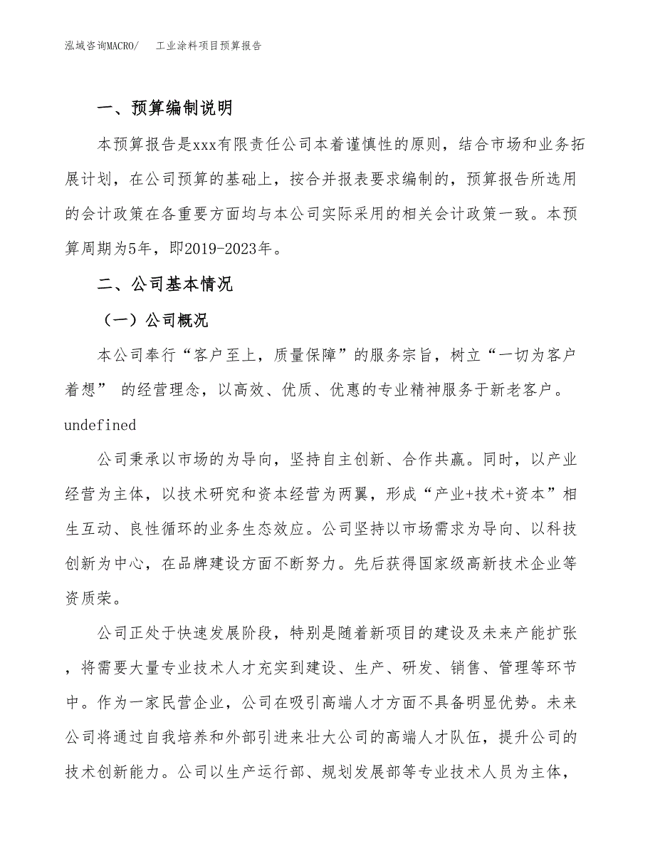 工业涂料项目预算报告年度.docx_第2页