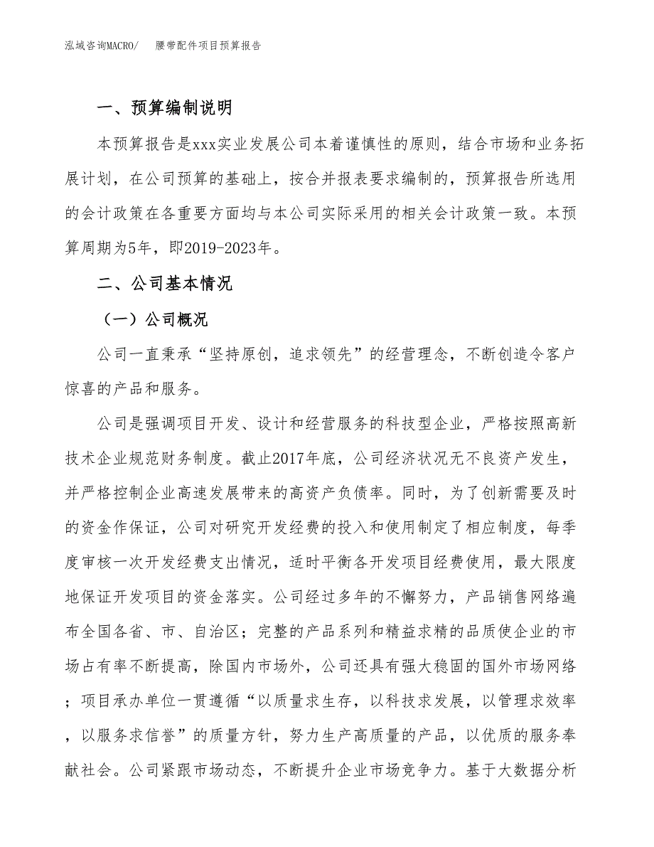 腰带配件项目预算报告年度.docx_第2页