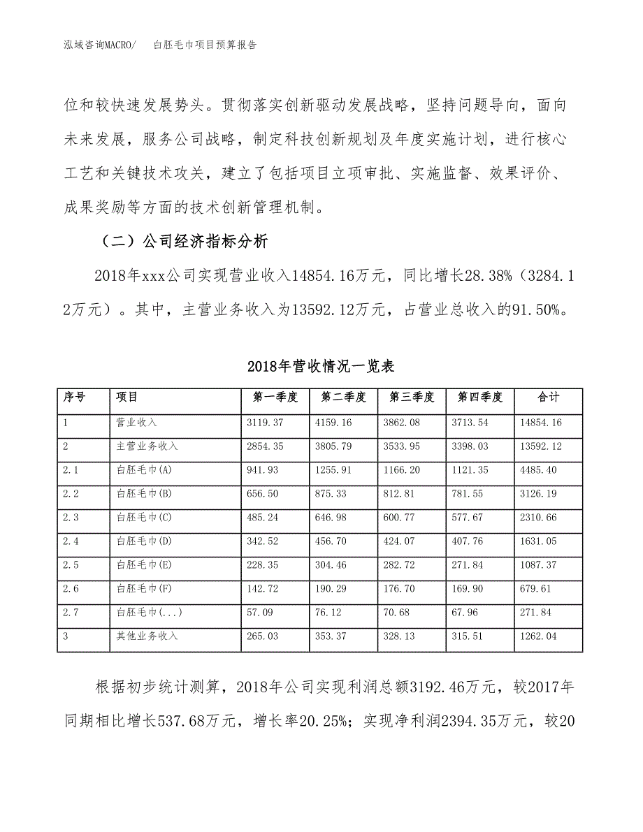 白胚毛巾项目预算报告年度.docx_第3页