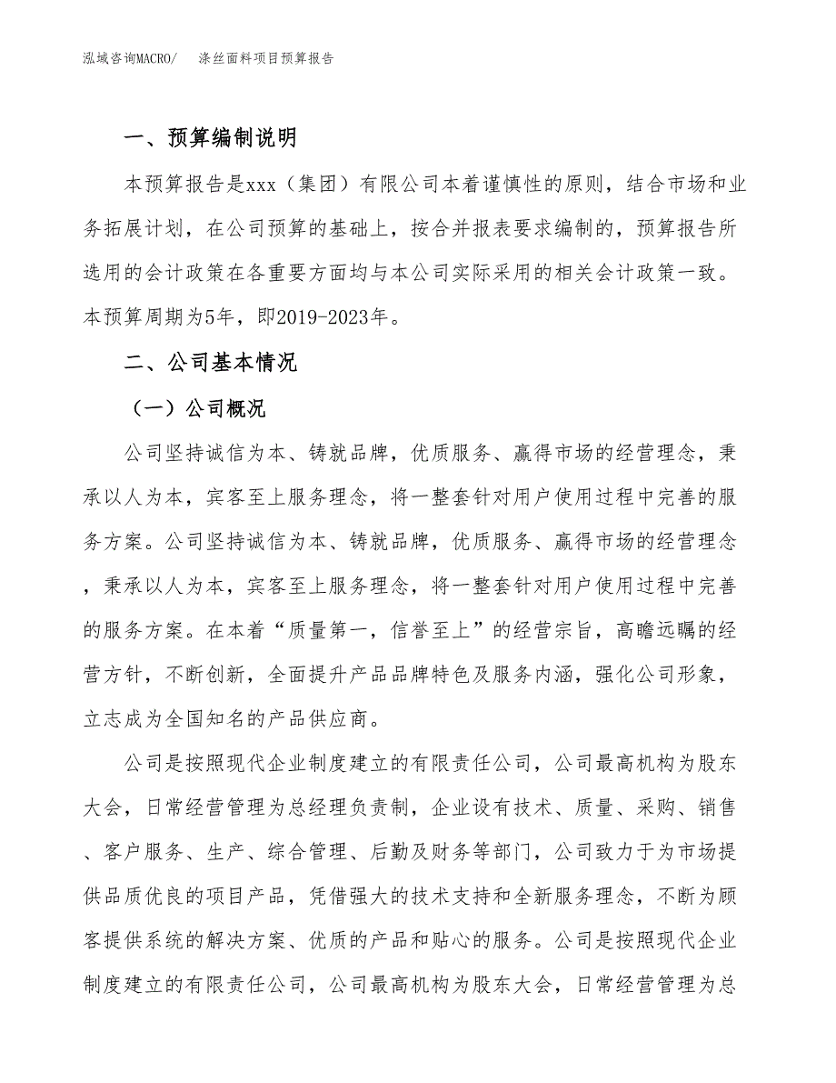 涤丝面料项目预算报告年度.docx_第2页