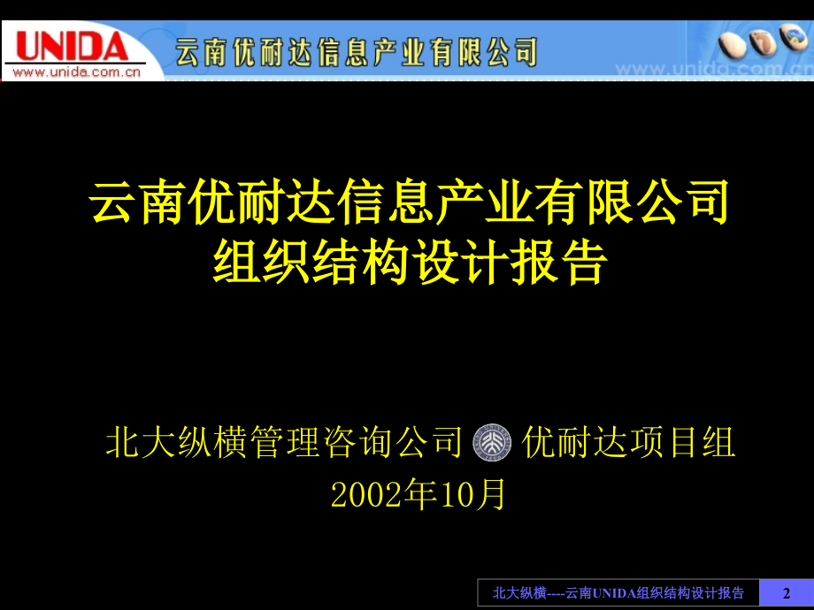 2019年信息产业公司组织结构设计报告_第2页