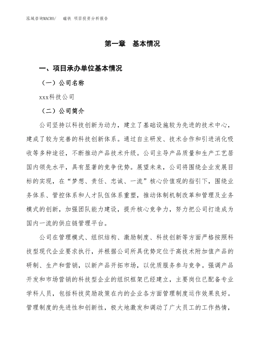 磁铁 项目投资分析报告（总投资14000万元）（55亩）_第2页