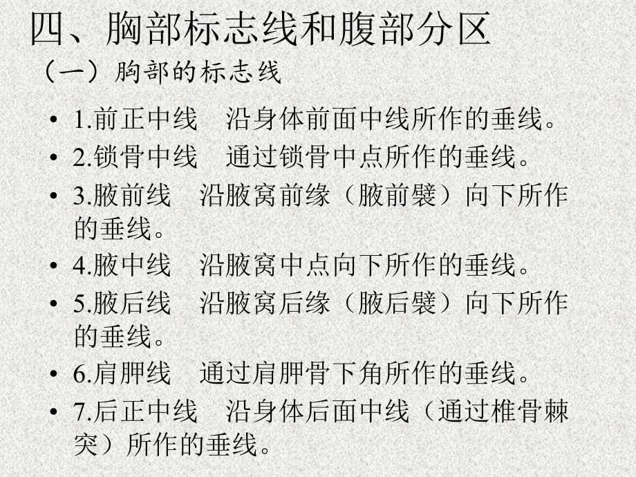 解剖生理学基础—第七章呼吸系统._第5页