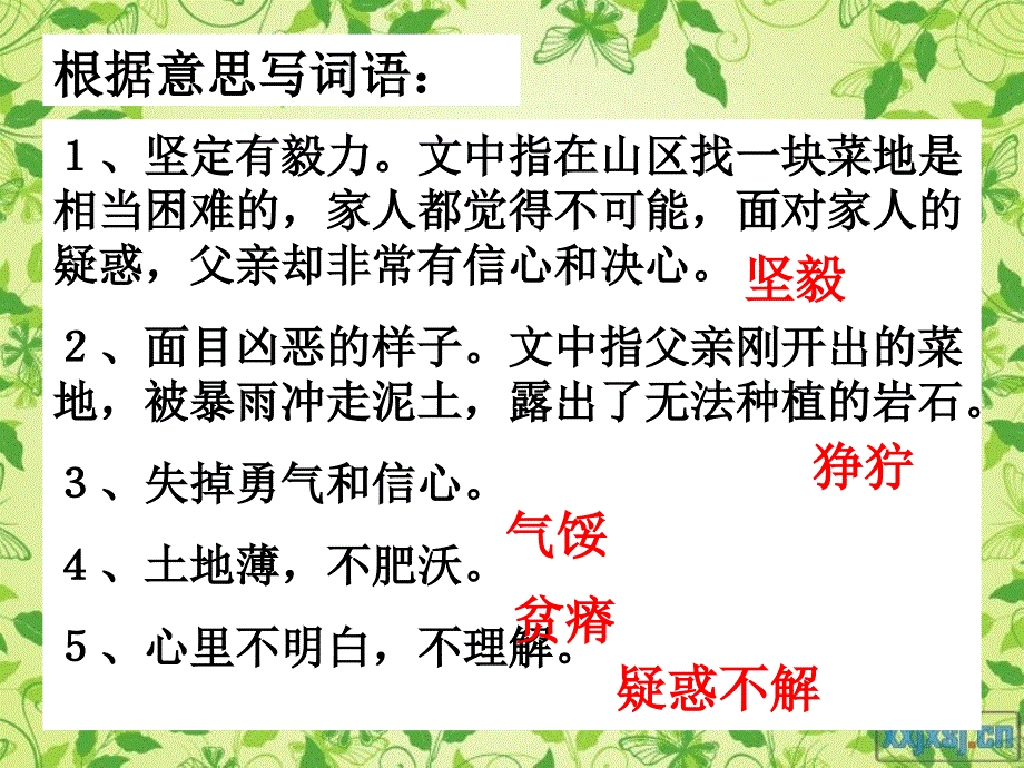 父亲的菜园讲述_第3页