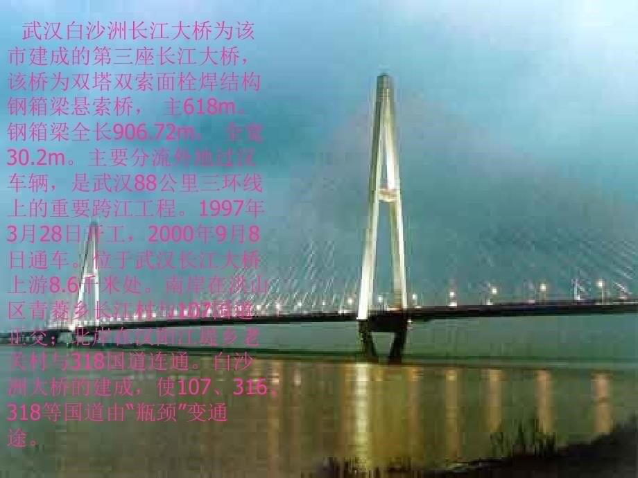 武汉白沙洲大桥._第5页