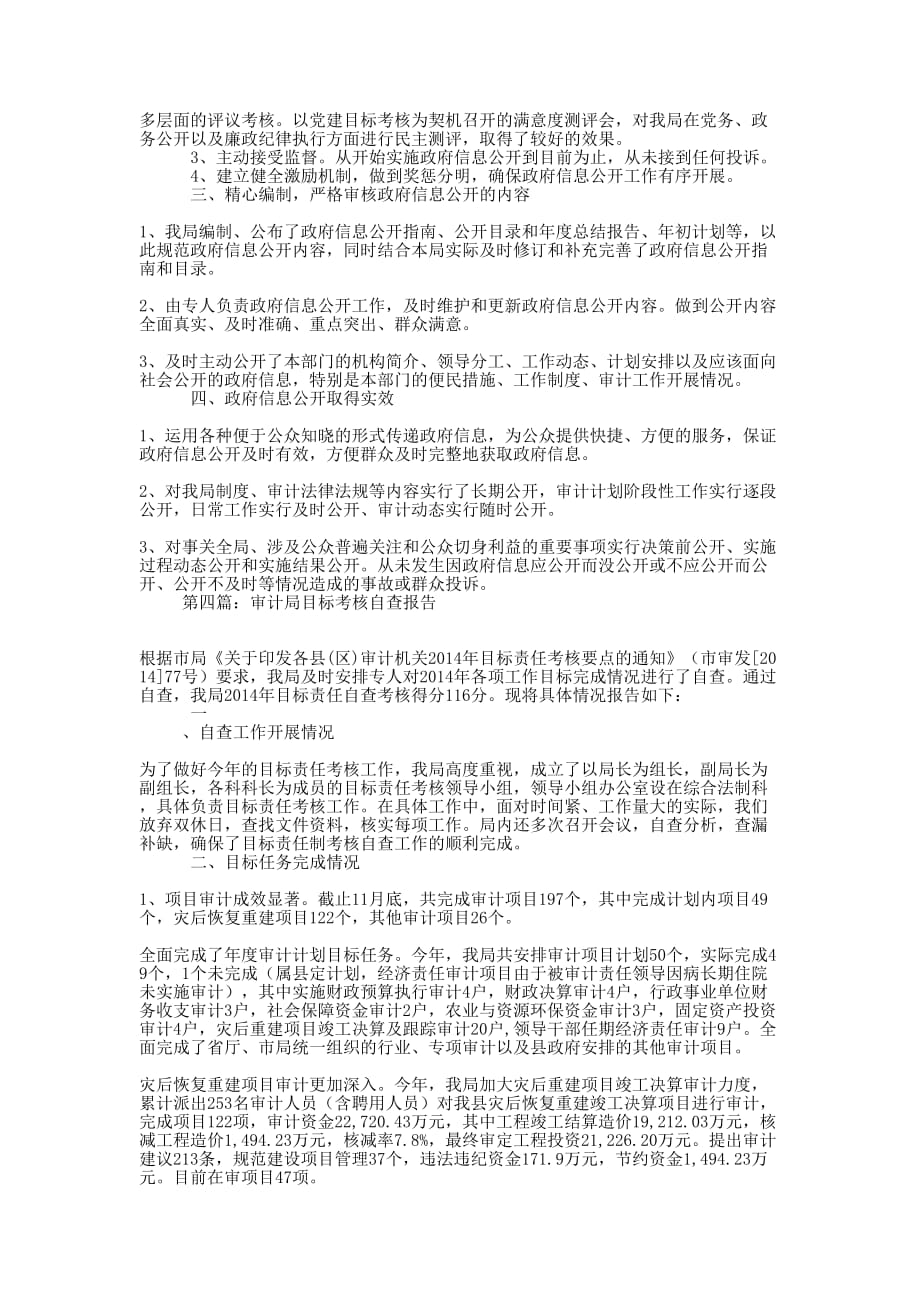 审计局自查报告(精选多 篇).docx_第4页