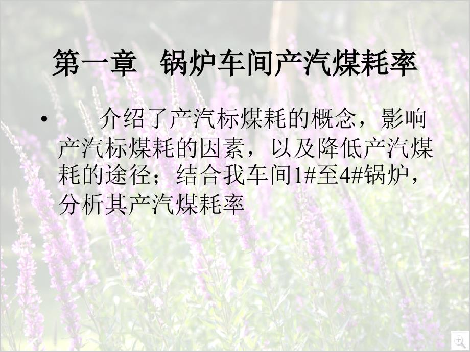 锅炉效率及有关计算讲解_第1页