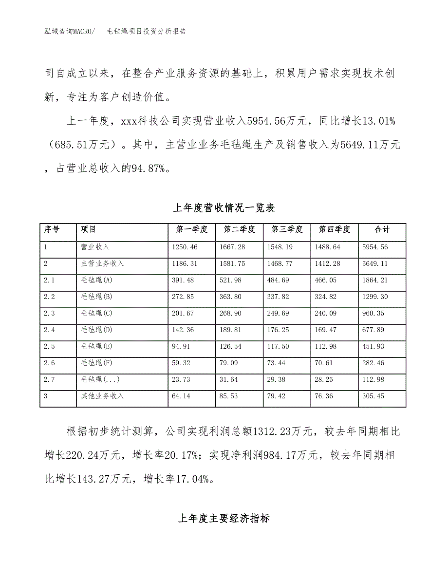 毛毡绳项目投资分析报告（总投资6000万元）（24亩）_第3页