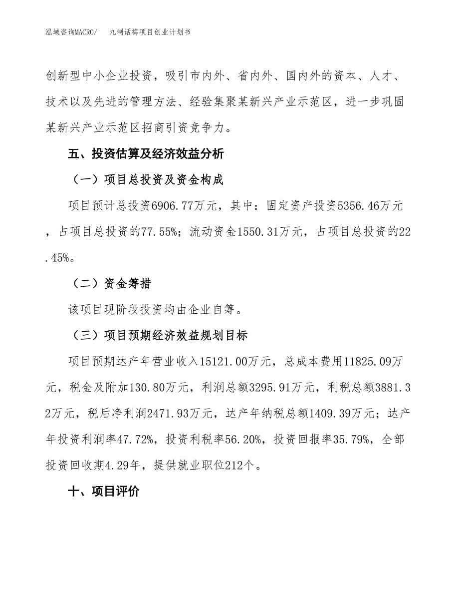 九制话梅项目创业计划书(参考模板).docx_第5页
