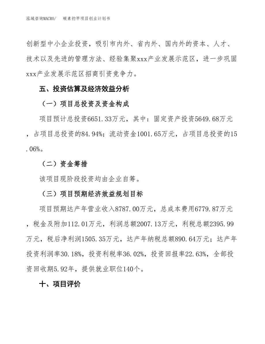 碳素钓竿项目创业计划书.docx_第5页