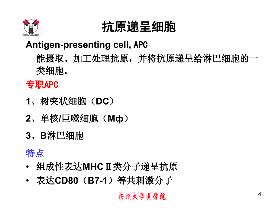 医学免疫学-11[APC]详解_第4页