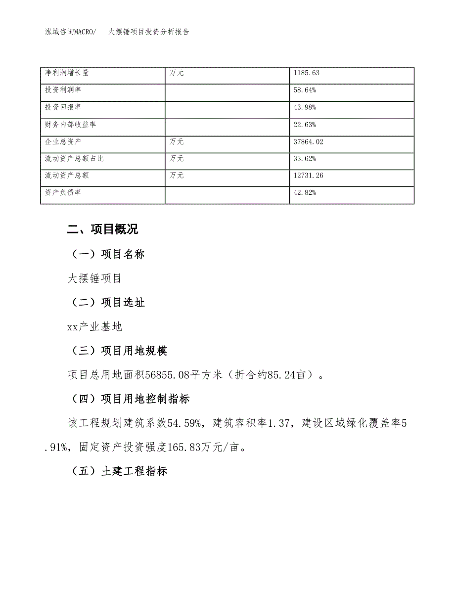 大摆锤项目投资分析报告（总投资19000万元）（85亩）_第4页