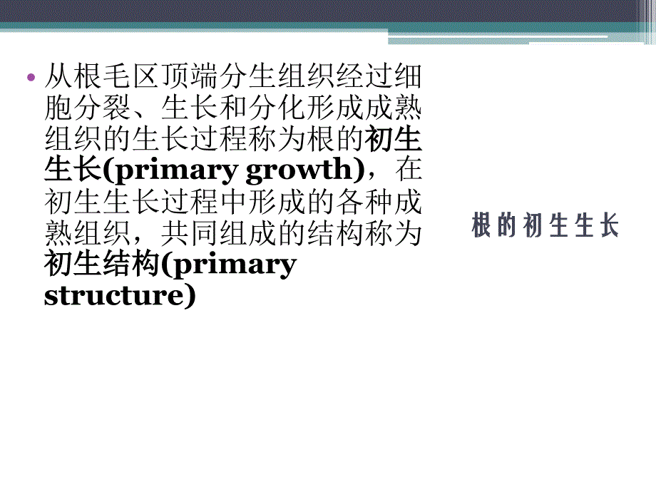 实验五植物根的初生结构和次生结构._第3页