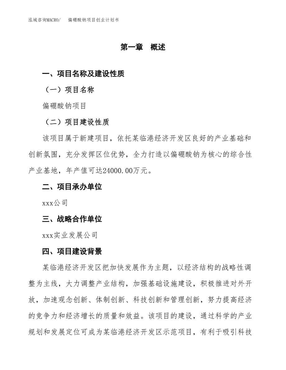 偏硼酸钠项目创业计划书.docx_第5页