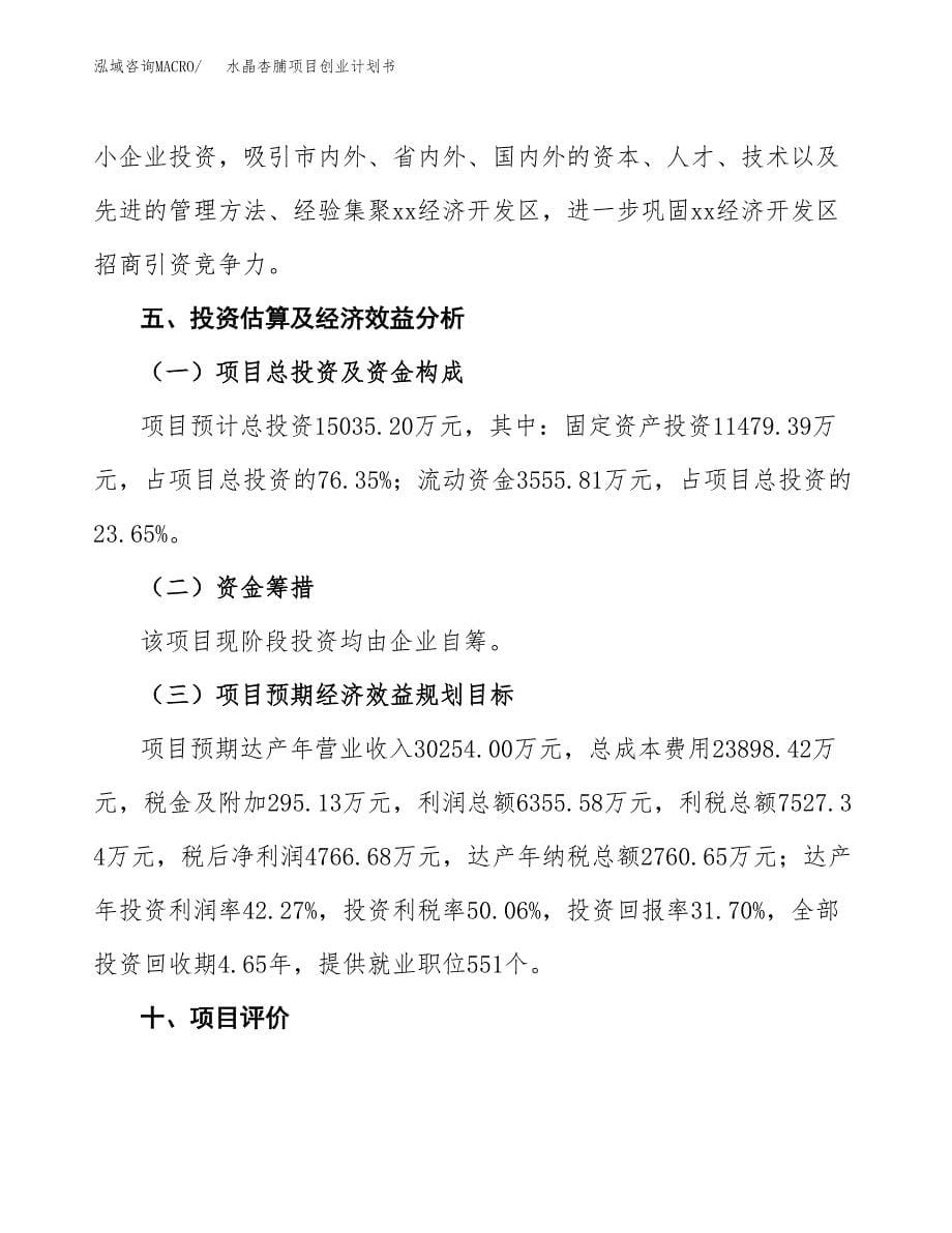 水晶杏脯项目创业计划书(参考模板).docx_第5页