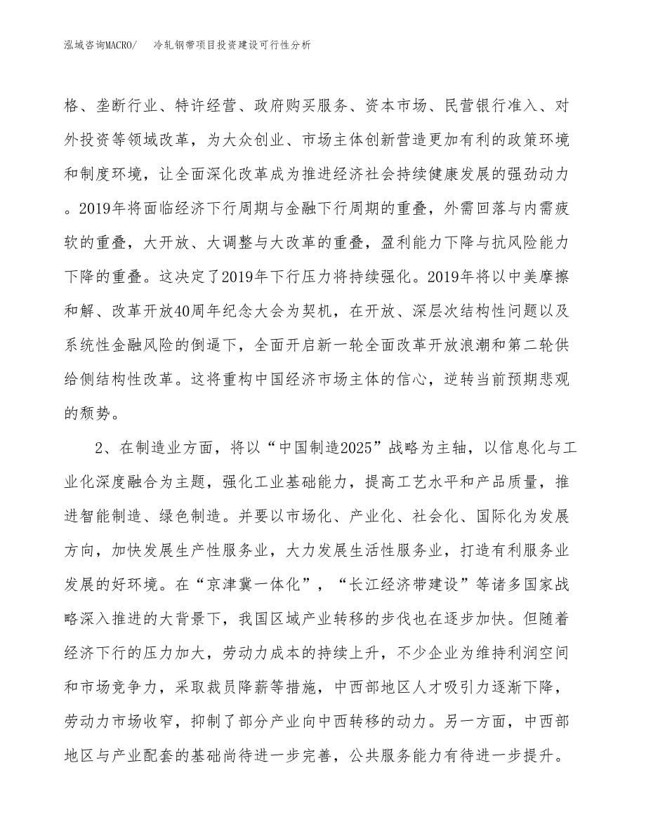 冷轧钢带项目投资建设可行性分析.docx_第5页