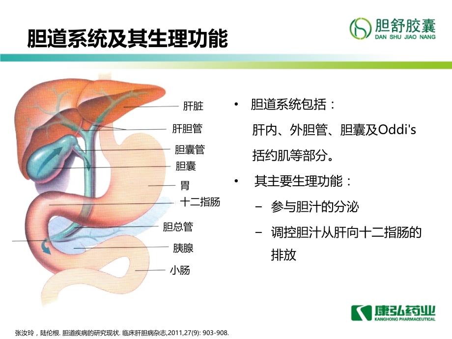 胆舒胶囊科室会PPT-完整版讲述_第3页