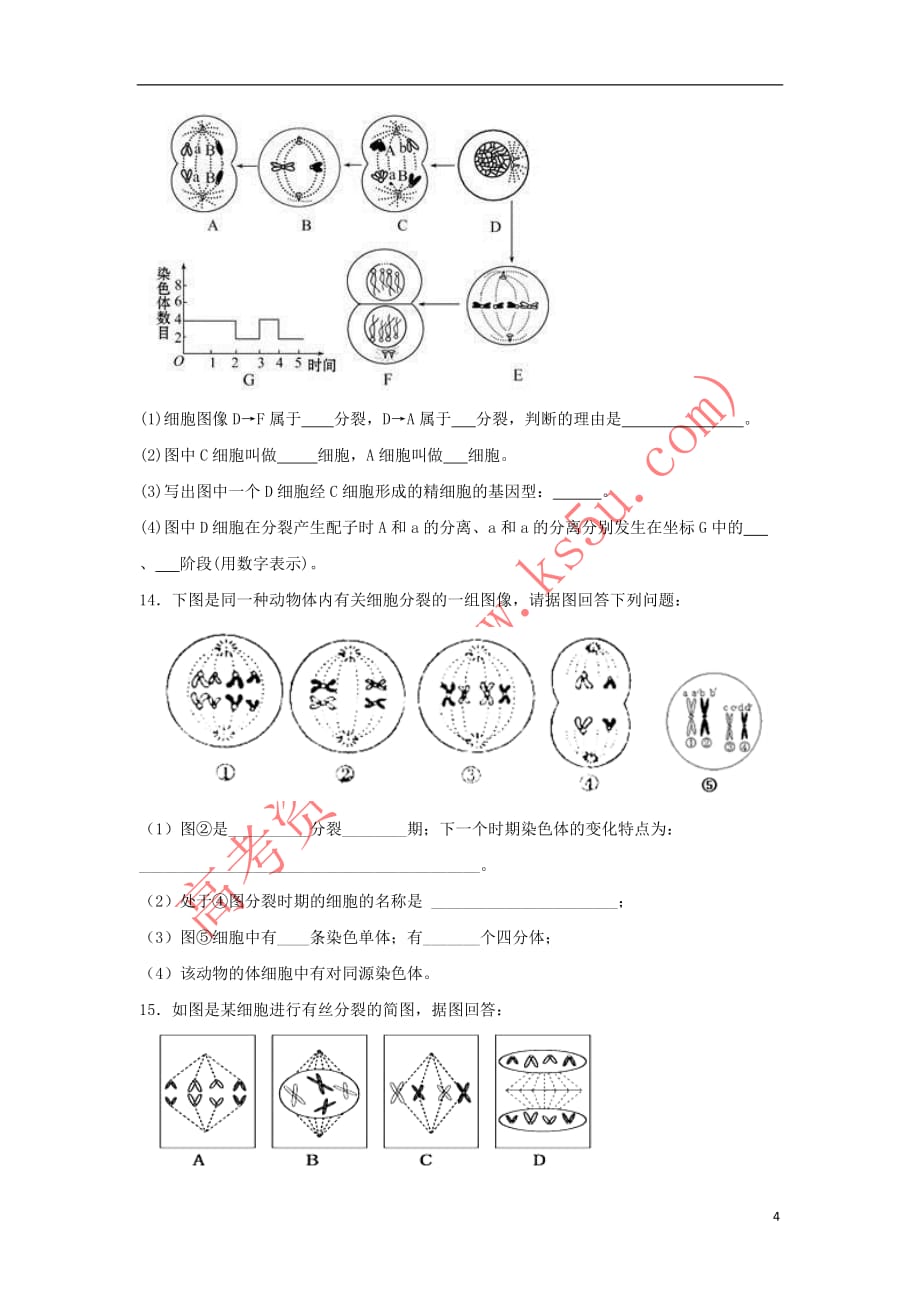 高三生物一轮复习-第11讲 细胞的增殖3专题练 新人教版_第4页