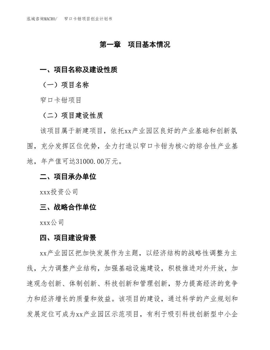 窄口卡钳项目创业计划书.docx_第5页