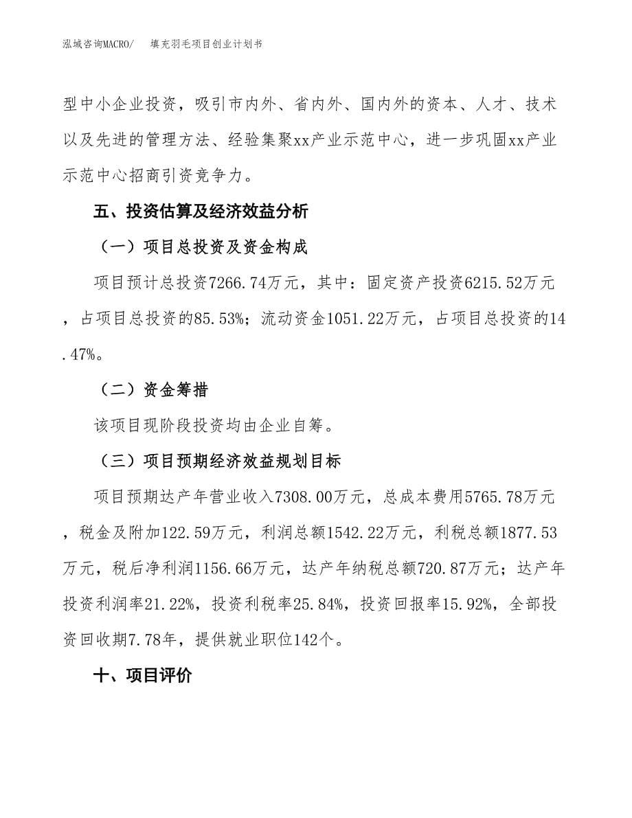 填充羽毛项目创业计划书.docx_第5页