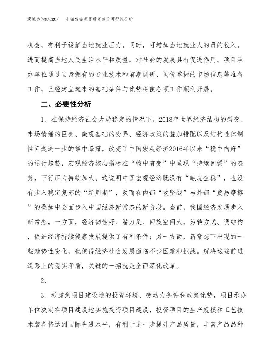 七钼酸铵项目投资建设可行性分析.docx_第5页