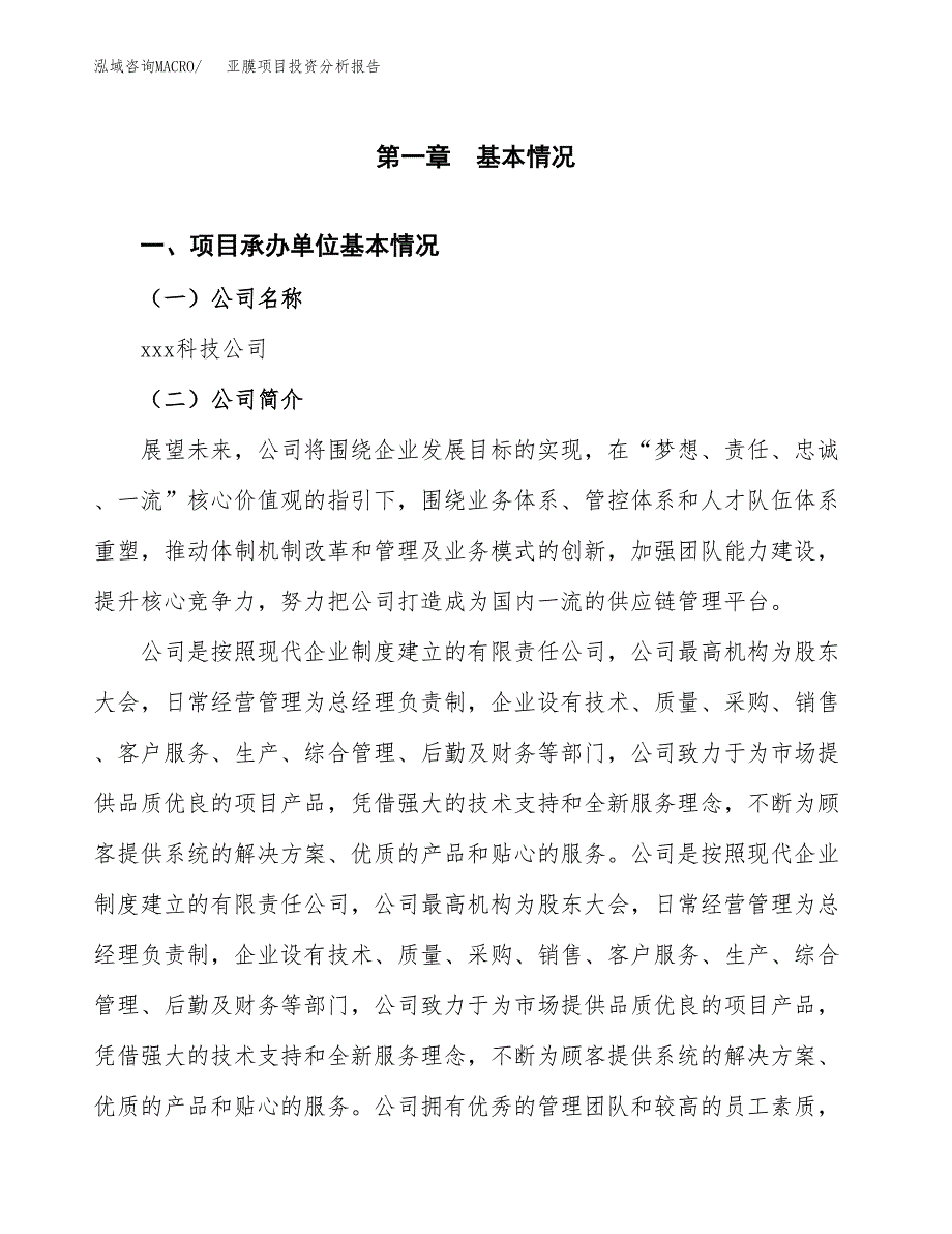 亚膜项目投资分析报告（总投资18000万元）（76亩）_第2页