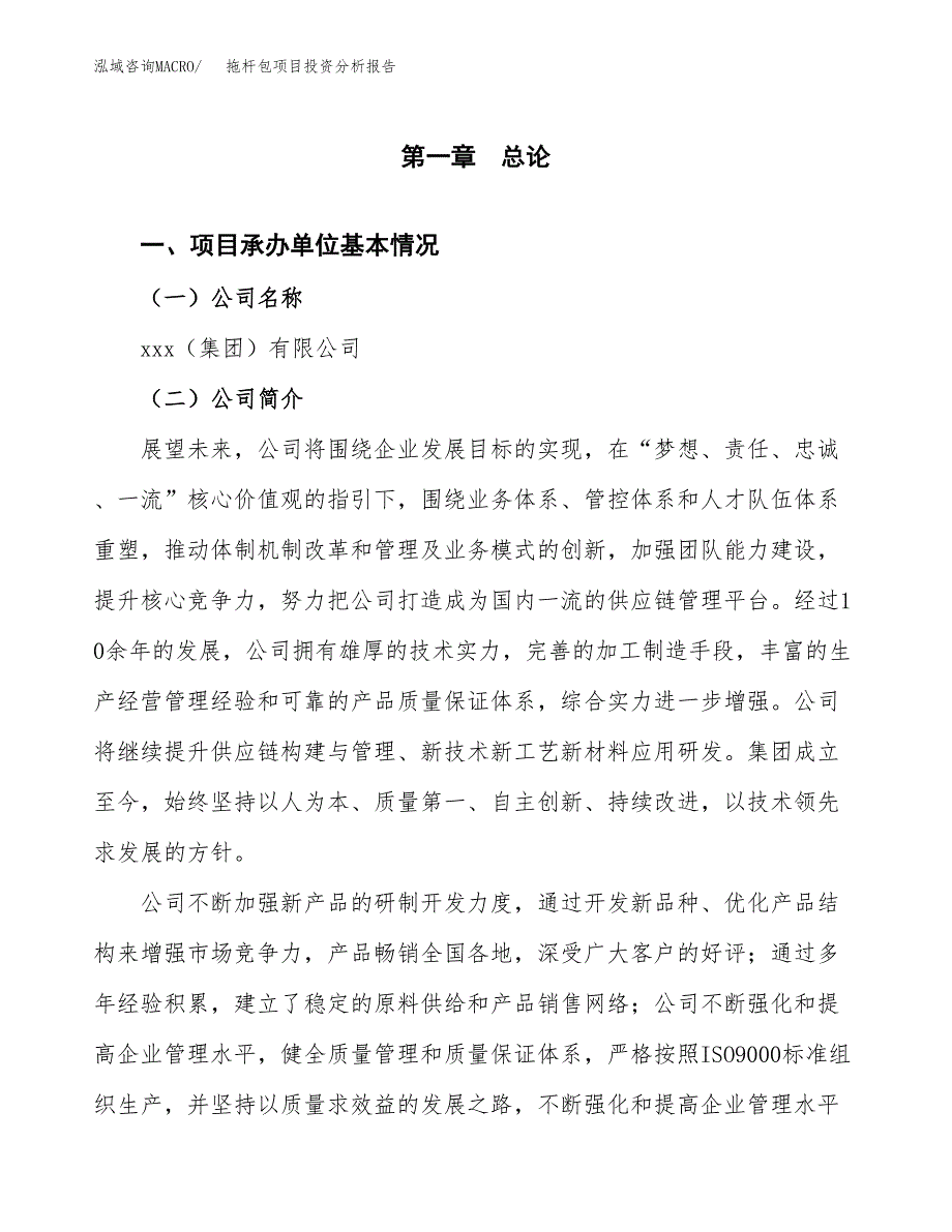 拖杆包项目投资分析报告（总投资9000万元）（32亩）_第2页