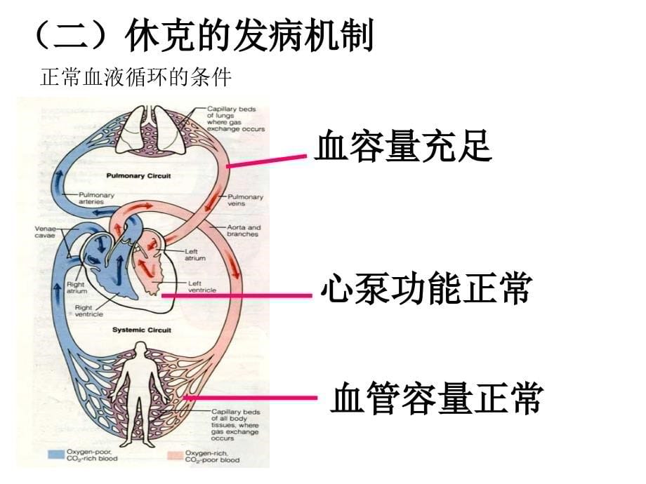 休克的诊治课案_第5页