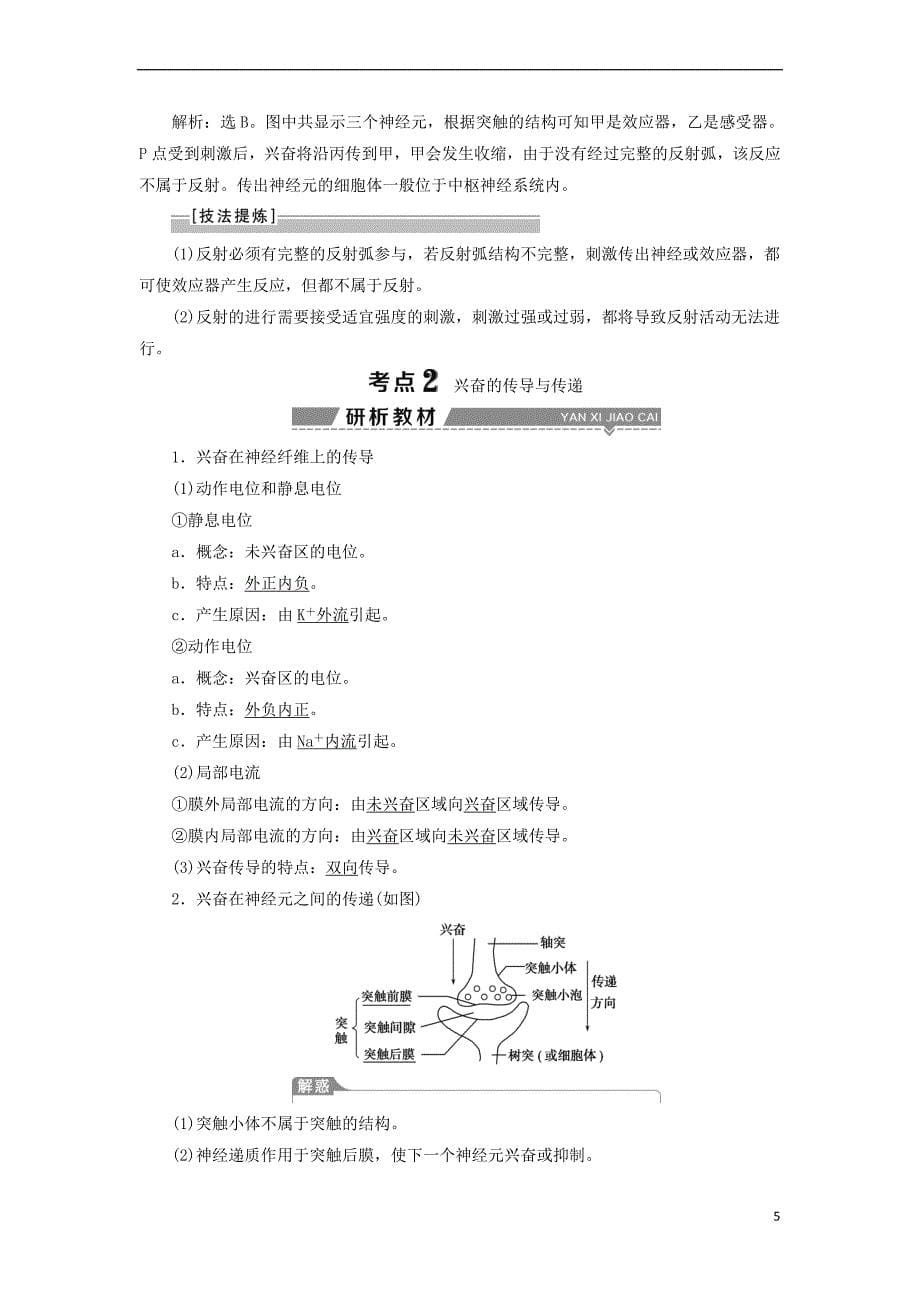 （全国）2018版高考生物大一轮复习 第八单元 生命活动的调节 第30讲 通过神经系统的调节学案_第5页