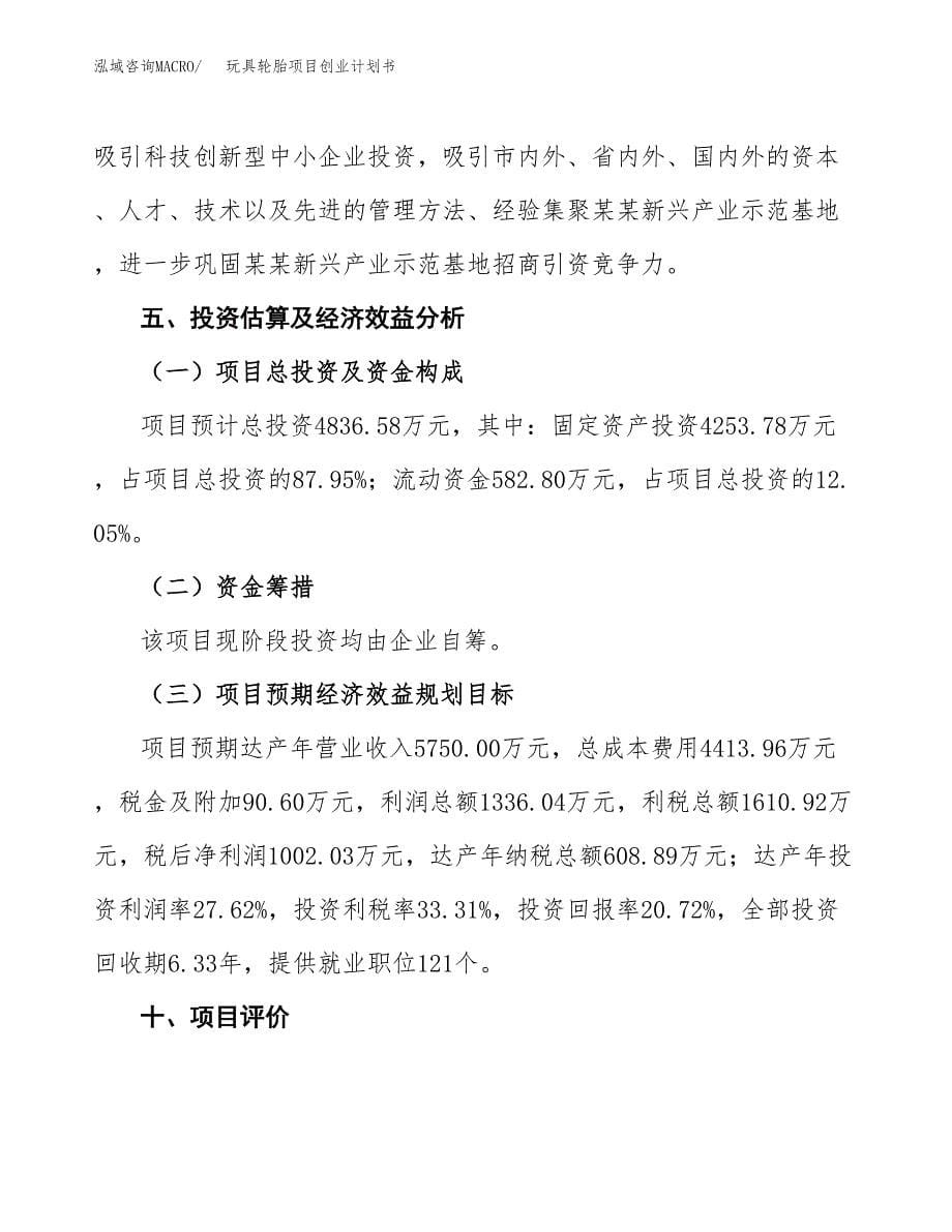 玩具轮胎项目创业计划书(参考模板).docx_第5页