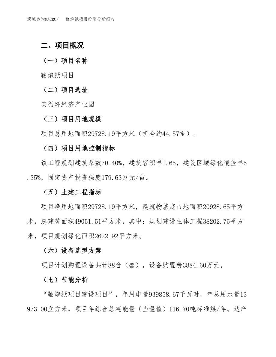 鞭炮纸项目投资分析报告（总投资11000万元）（45亩）_第5页