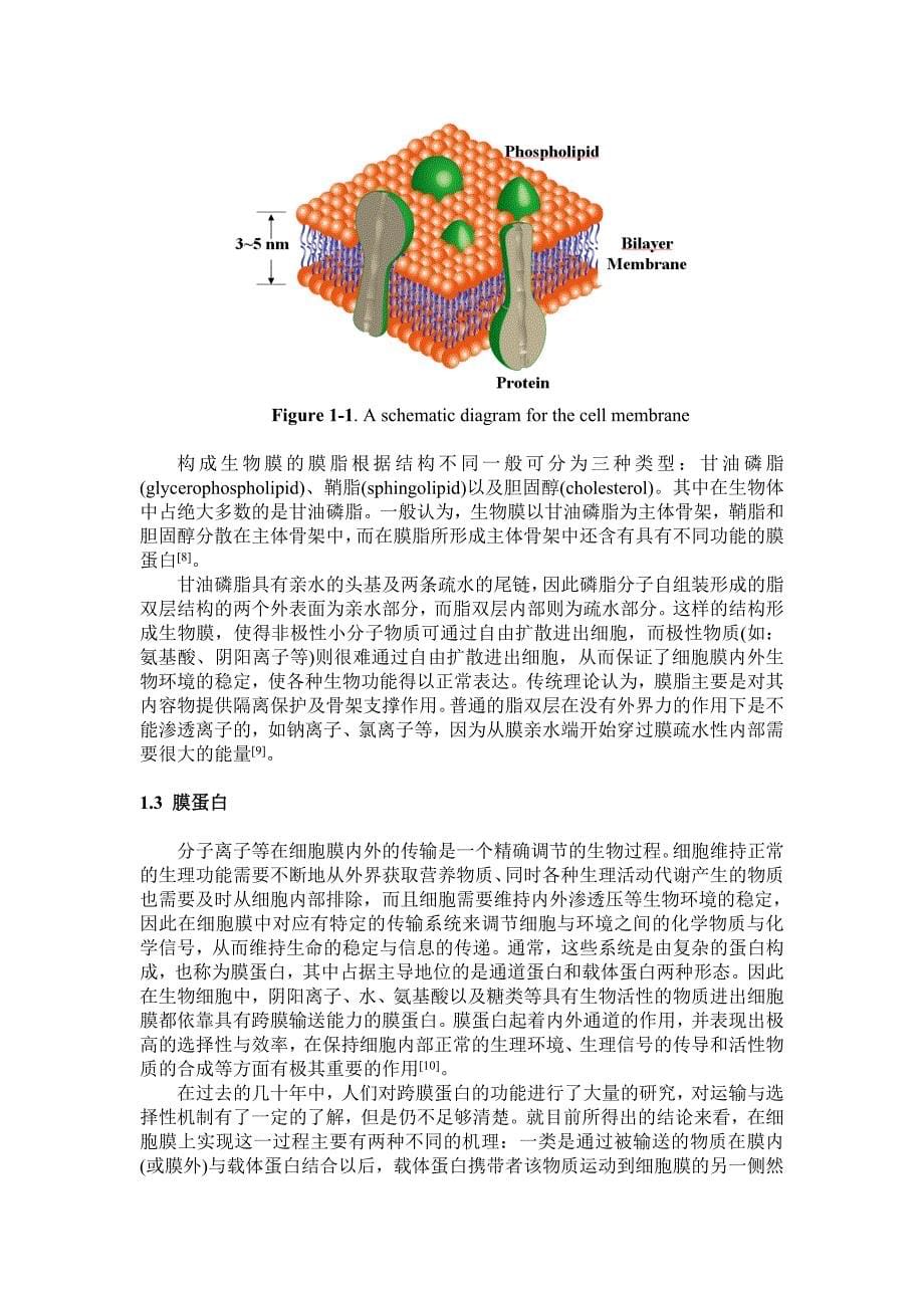 毕业论文--芳香酰肼折叠体聚合物的构建及其跨膜输送研究_第5页