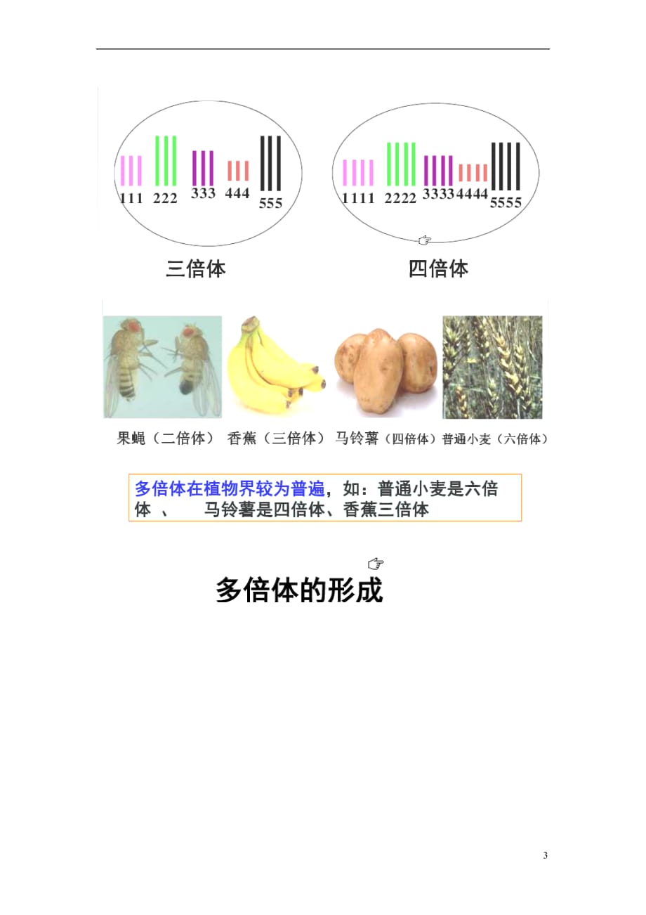 高中生物 第四章 生物的变异 4.1 生物变异的来源素材 浙科版必修2_第3页