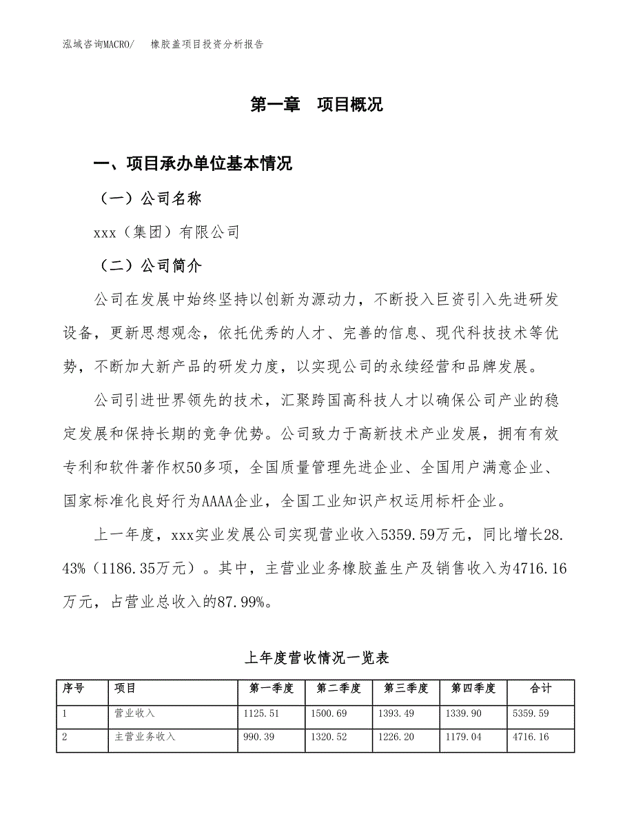 橡胶盖项目投资分析报告（总投资9000万元）（50亩）_第2页