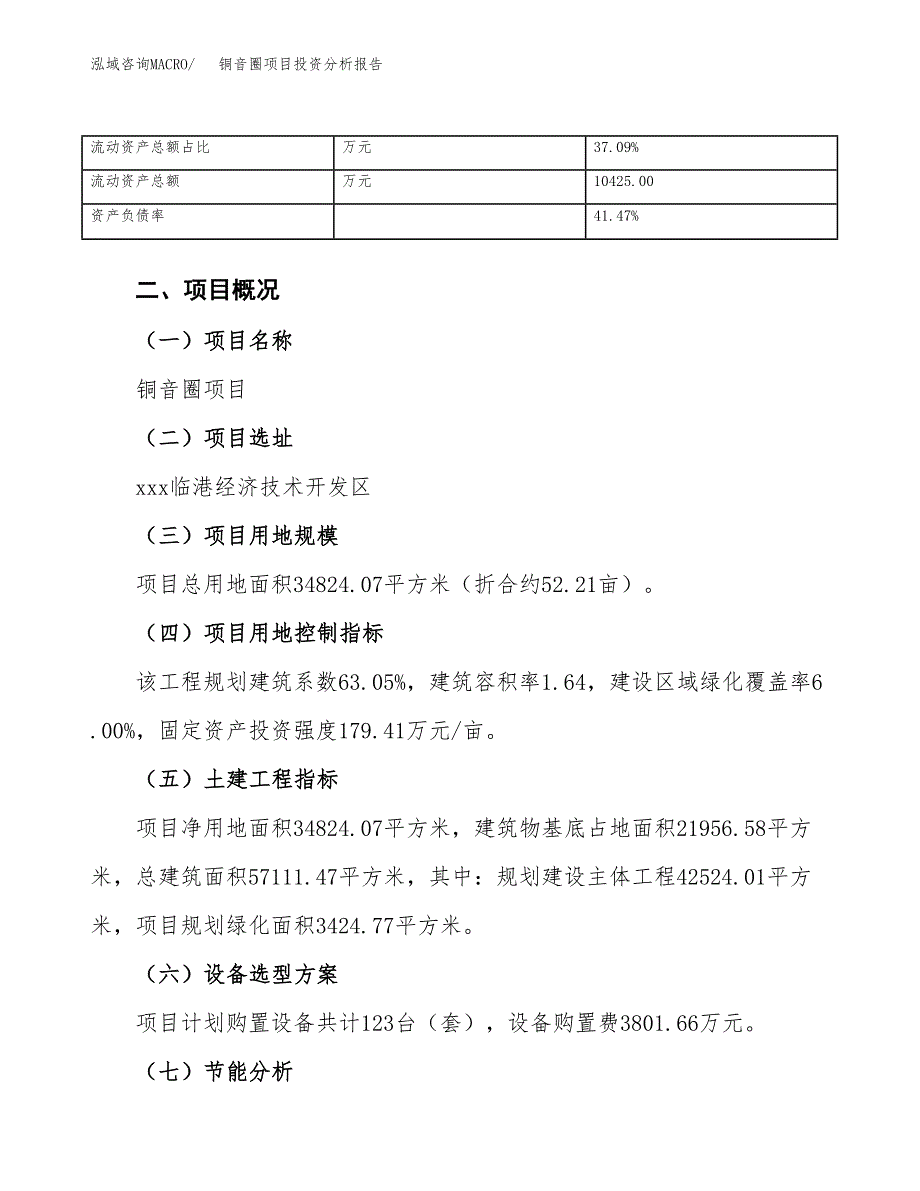 铜音圈项目投资分析报告（总投资14000万元）（52亩）_第4页