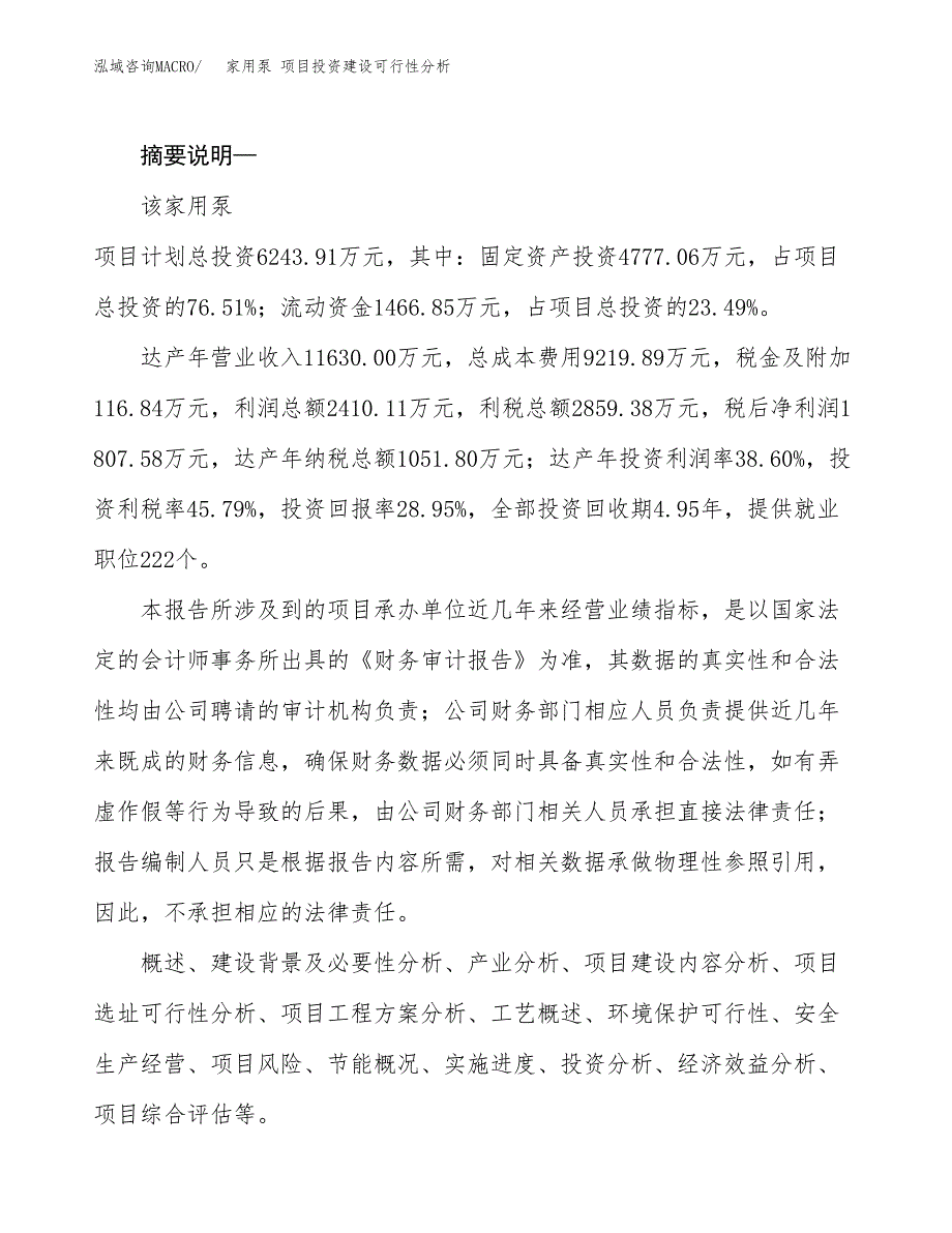 家用泵 项目投资建设可行性分析.docx_第2页