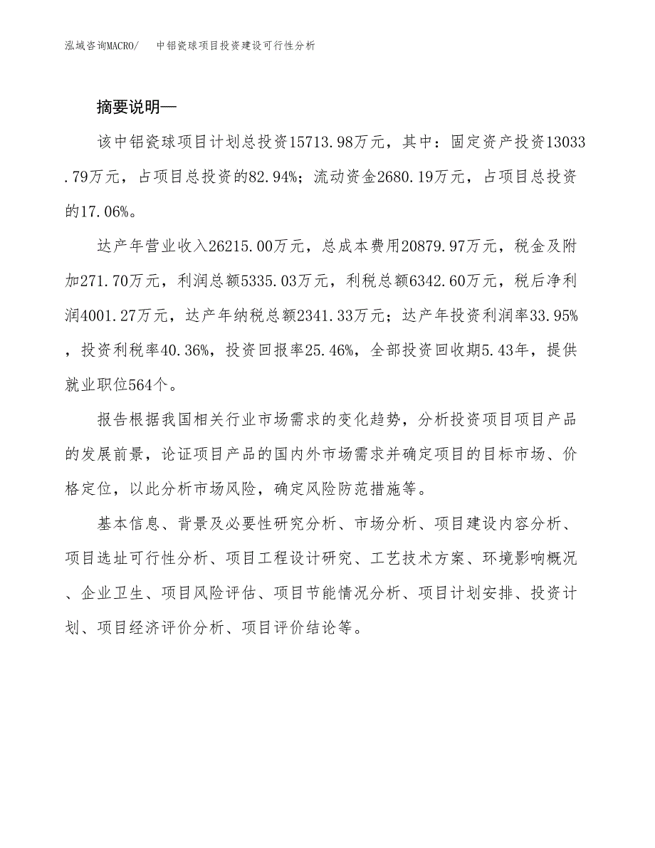 中铝瓷球项目投资建设可行性分析.docx_第2页