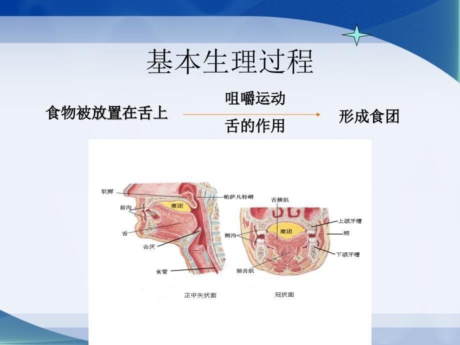 健康评估3.老年人吞咽困难的评估及管理-50P讲解_第5页