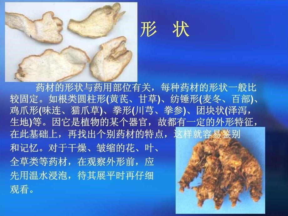 常见中药材快速识别_第5页