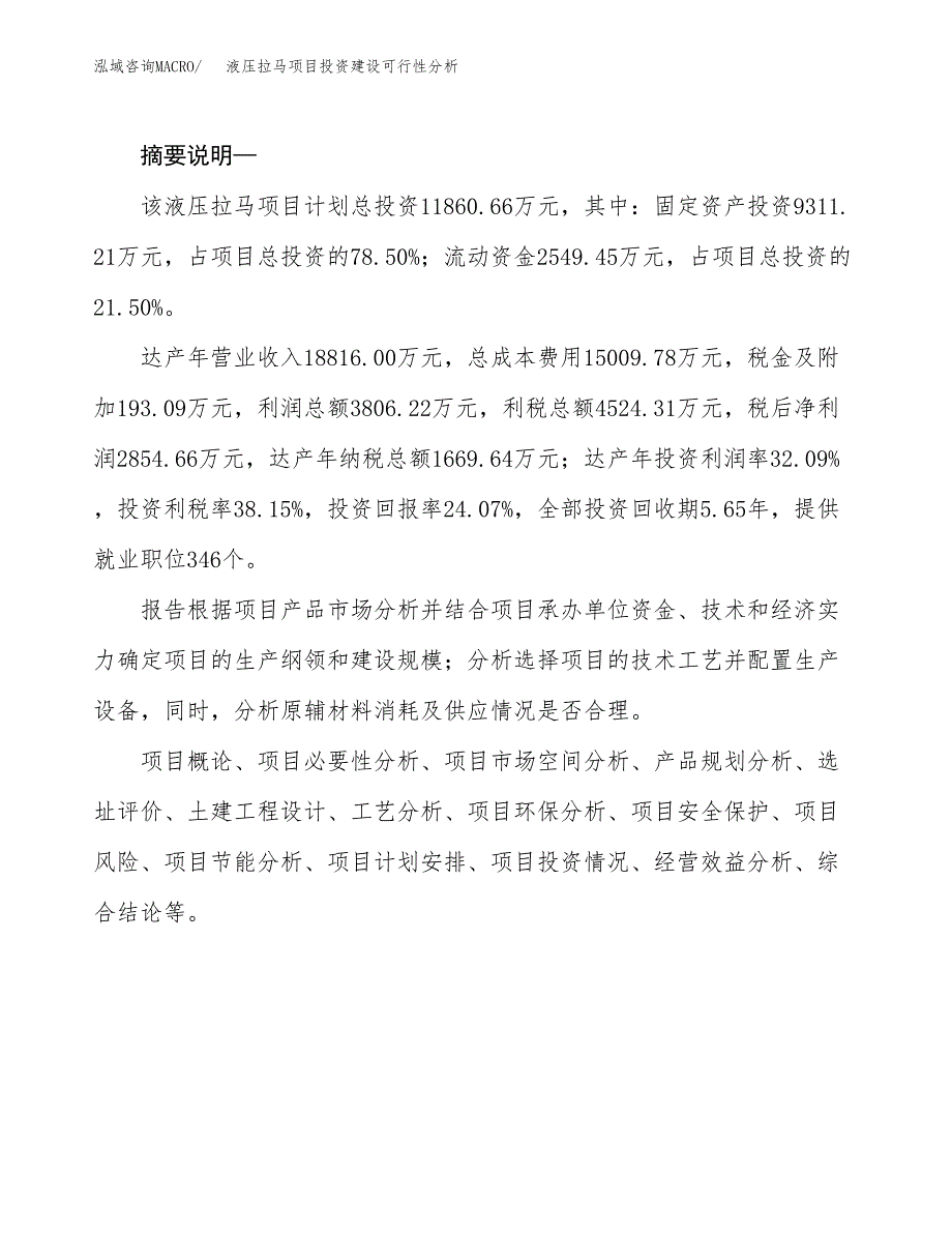 液压拉马项目投资建设可行性分析.docx_第2页