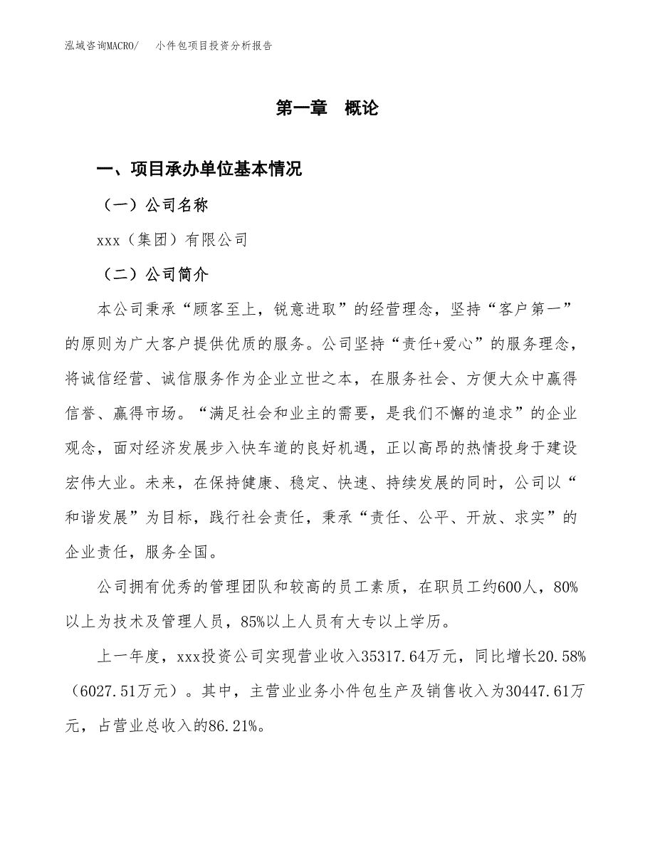 小件包项目投资分析报告（总投资20000万元）（87亩）_第2页