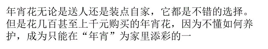 让花香长久的年宵鲜花养护技巧剖析_第1页