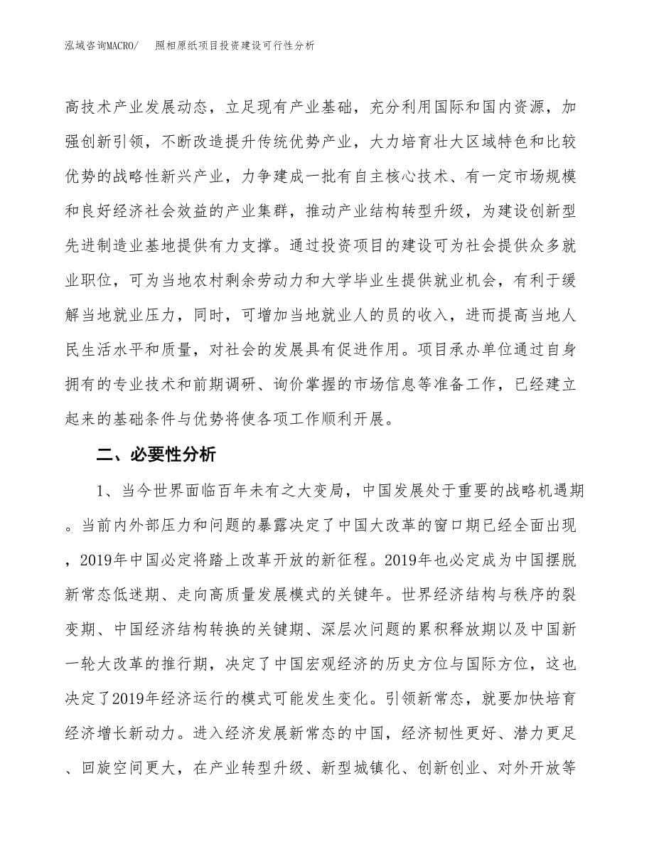 照相原纸项目投资建设可行性分析.docx_第5页