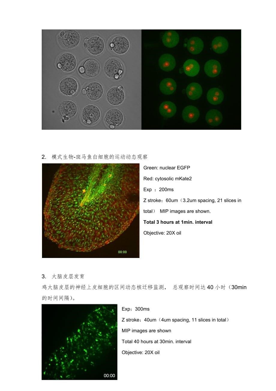 活细胞工作站及应用案例简介_第5页