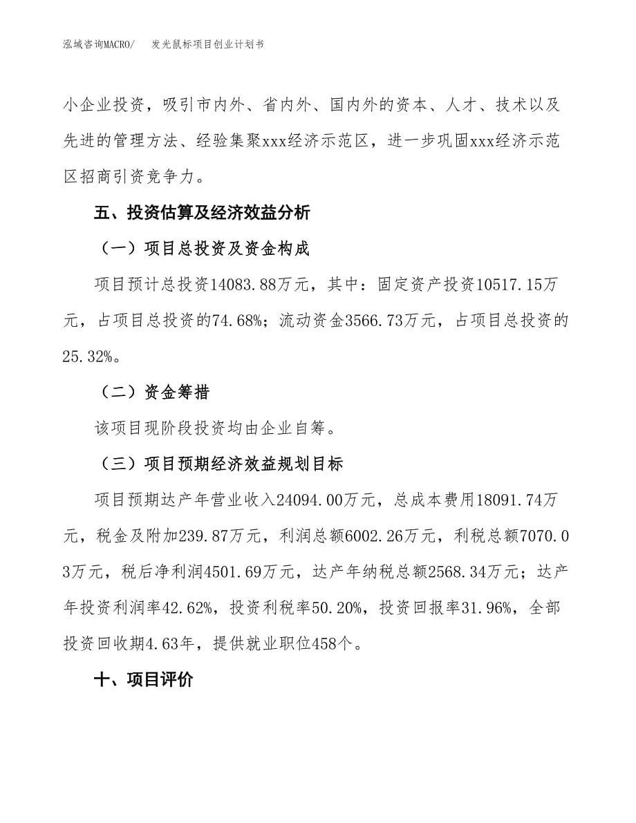 发光鼠标项目创业计划书(参考模板).docx_第5页